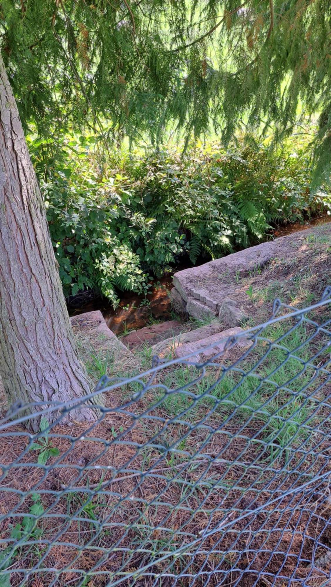 Ferienwohnung In Der Gruenheck Erlenbach  エクステリア 写真